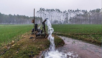 Anuncio de indicación para ceder a perpetuidad derechos de agua abrió polémica entre senadores