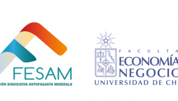Presidenta FESAM participa en estudio preparado por la U. de Chile sobre Sindicatos y Equidad de Género