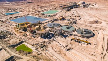 AMSA cumple metas de producción en 2021 y estima una disminución para el 2022